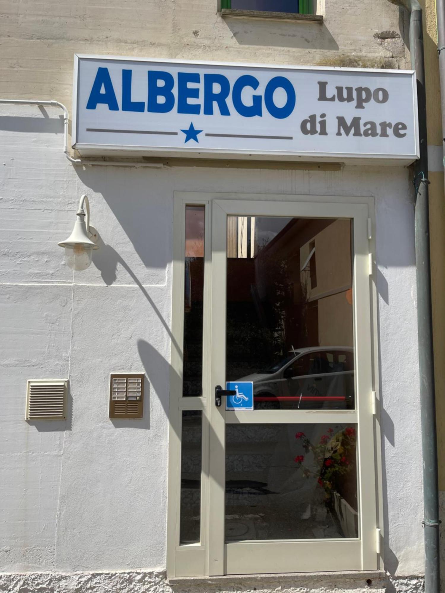 Hotel Lupo Di Mare Marina di Castagneto Carducci Eksteriør billede